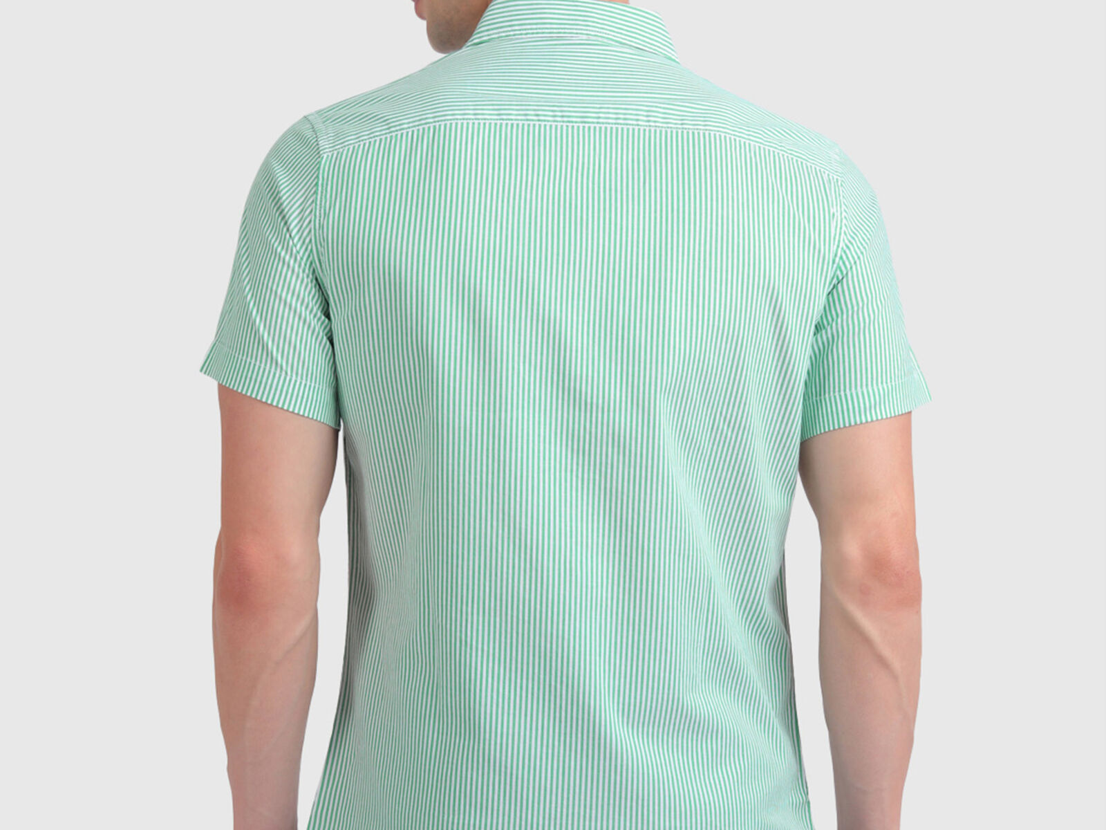 Pure Cotton Oxford Shirt with Stripes - Green