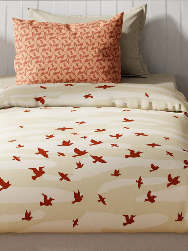 Safari 100% cotton Single Bedsheet