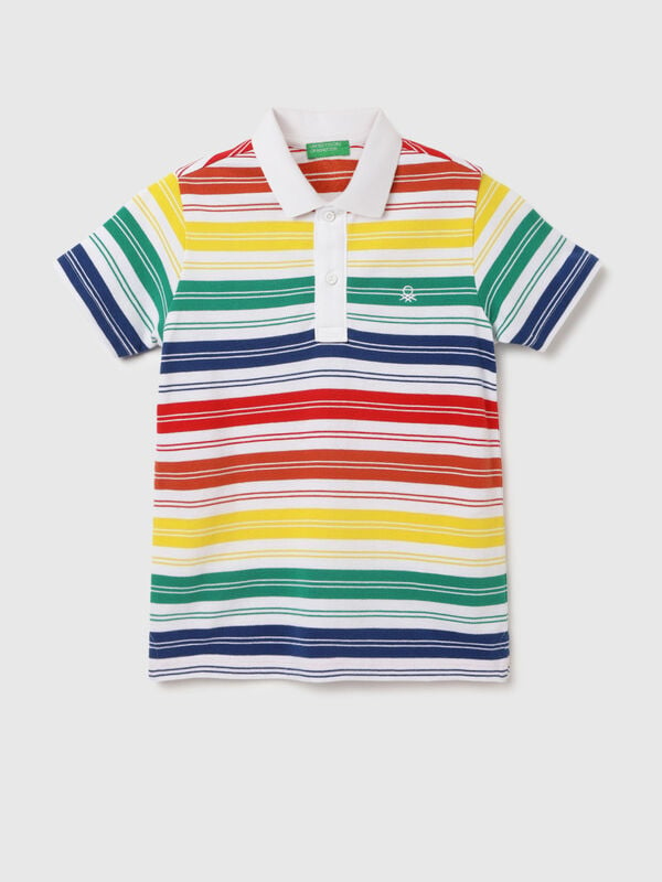 Regular Fit Polo Neck Striped T-shirt